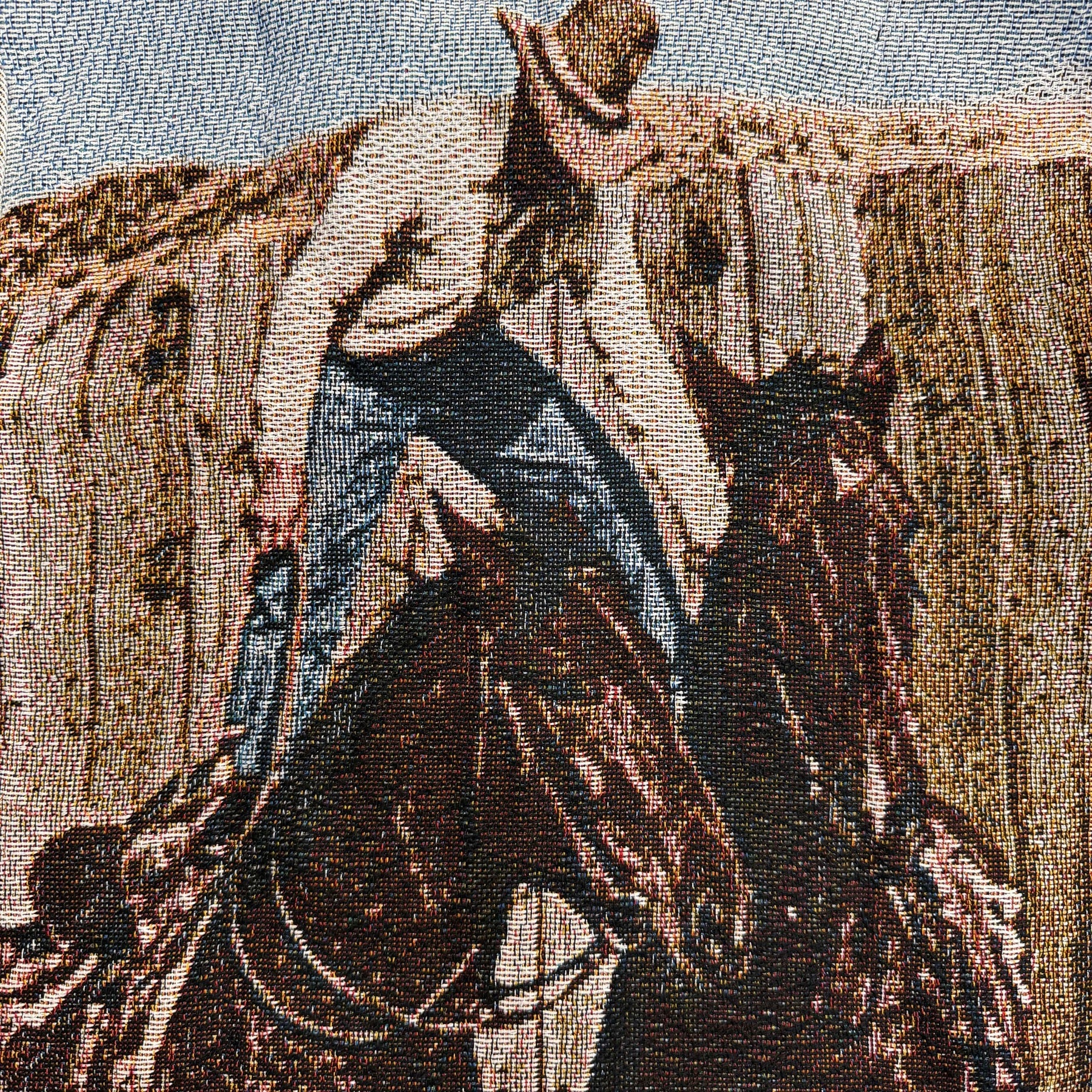 COWBOY TAPESTRY JACKET