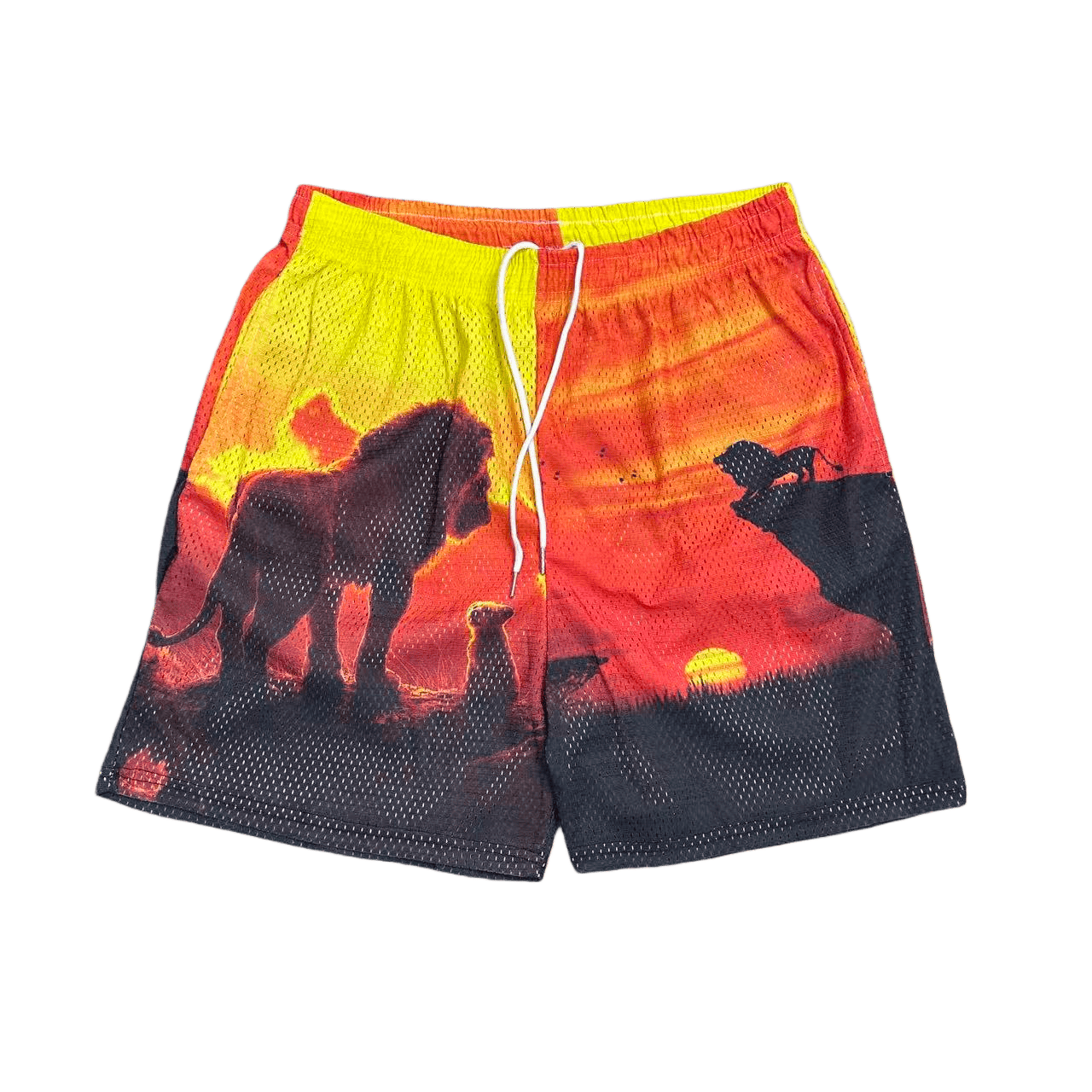 RDMCLOTHINGART tapestry hoodie LION KING-8756