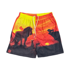RDMCLOTHINGART tapestry hoodie LION KING-8756