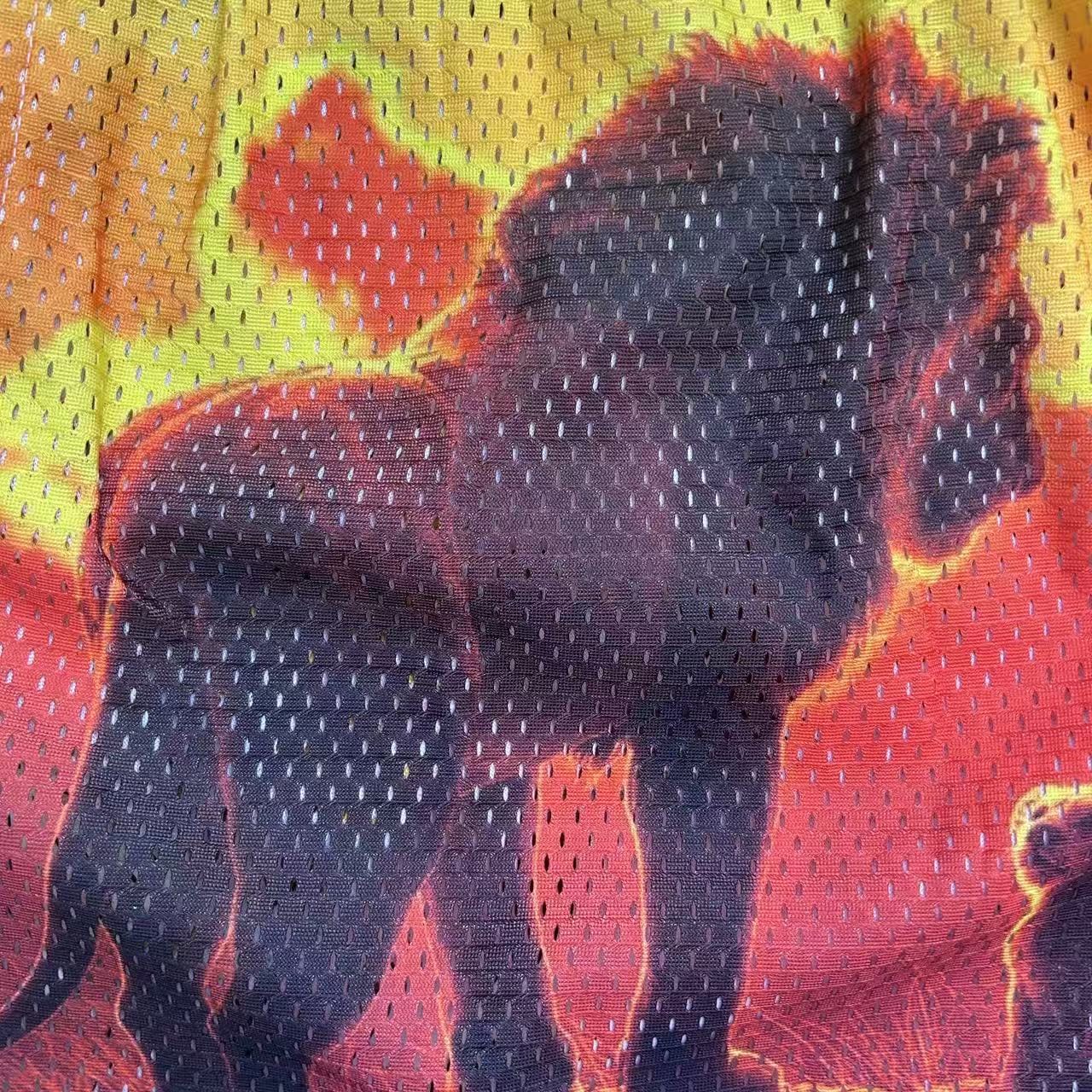RDMCLOTHINGART tapestry hoodie LION KING-8756