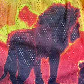 RDMCLOTHINGART tapestry hoodie LION KING-8756