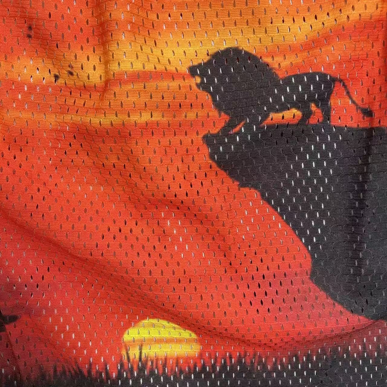 RDMCLOTHINGART tapestry hoodie LION KING-8756
