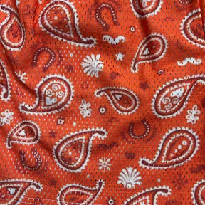 RDMCLOTHINGART tapestry hoodie ORANGE PAISLEY-8797