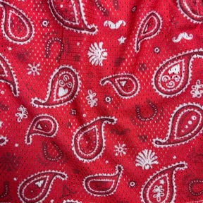 RDMCLOTHINGART tapestry hoodie RED PAISLEY-8804