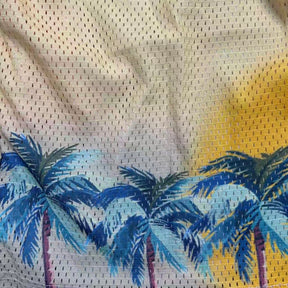 RDMCLOTHINGART tapestry hoodie SUNSET MESH SHORTS-8806