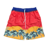 RDMCLOTHINGART tapestry hoodie SUNSET V2 MESH SHORTS-8811