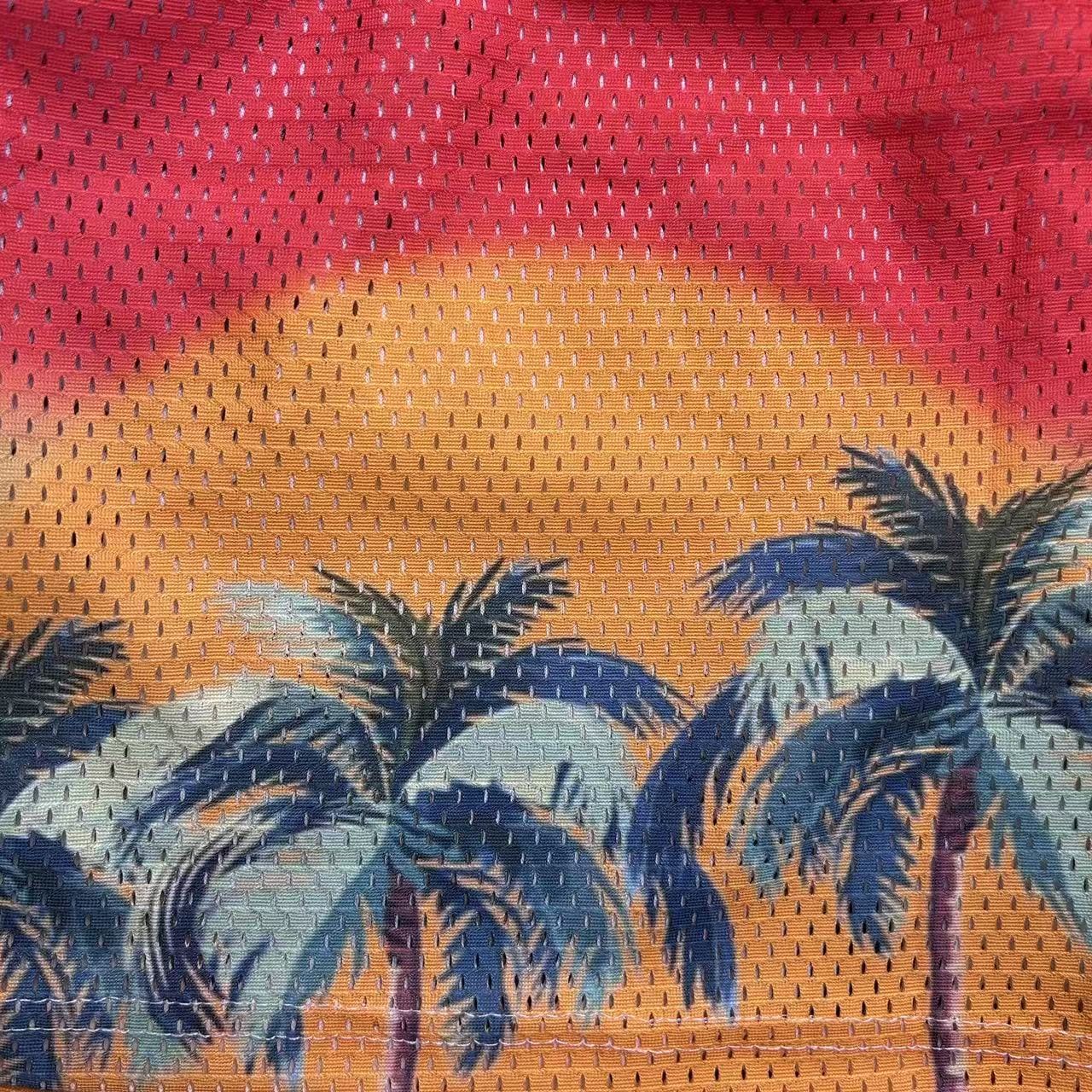 RDMCLOTHINGART tapestry hoodie SUNSET V2 MESH SHORTS-8811