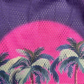 RDMCLOTHINGART tapestry hoodie SUNSET V5 MESH SHORTS-8808