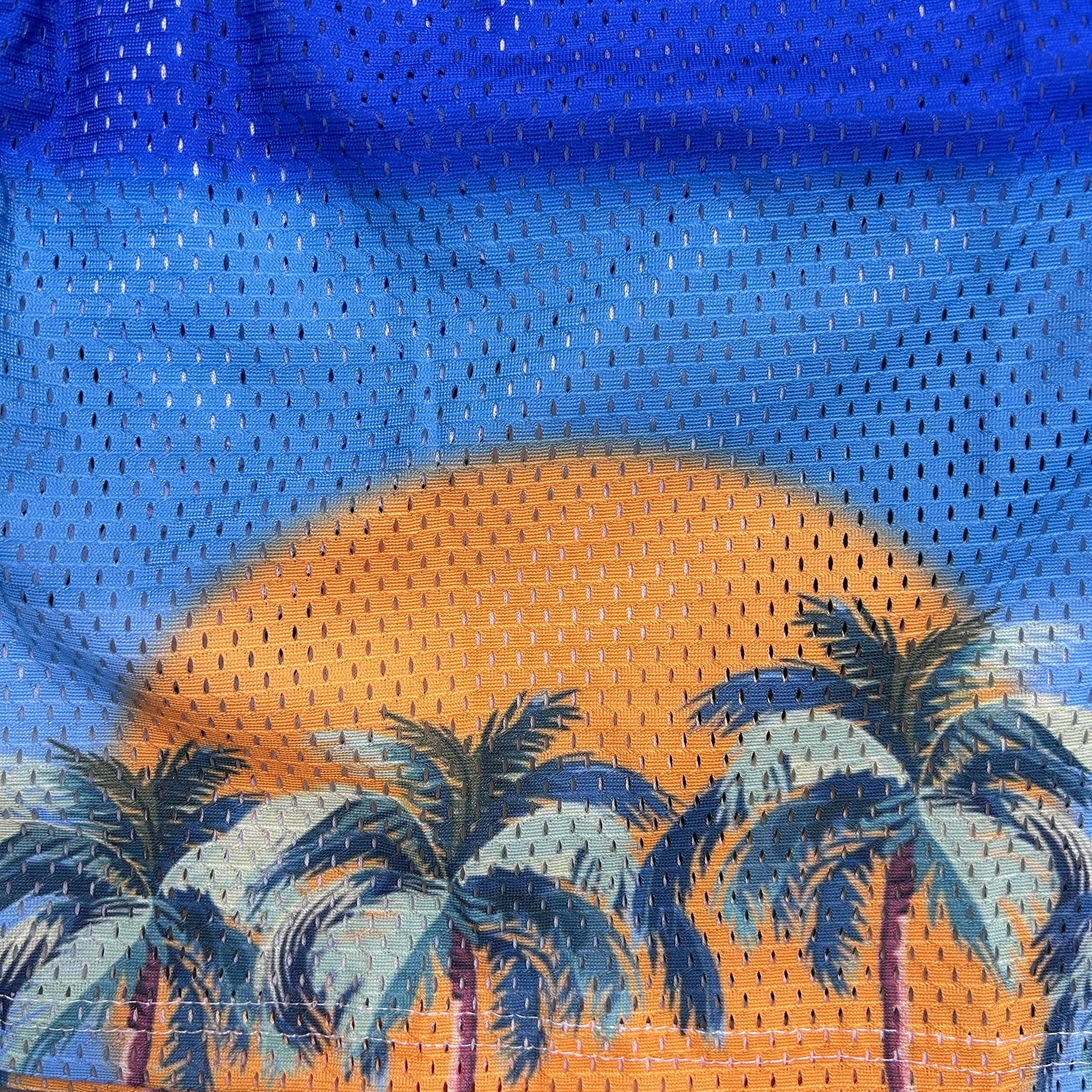 RDMCLOTHINGART tapestry hoodie SUNSET V6 MESH SHORTS-8807