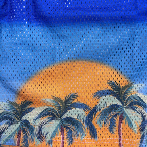 RDMCLOTHINGART tapestry hoodie SUNSET V6 MESH SHORTS-8807